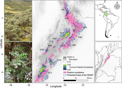 Climate Change Can Drive a Significant Loss of Suitable Habitat for Polylepis quadrijuga, a Treeline Species in the Sky Islands of the Northern Andes